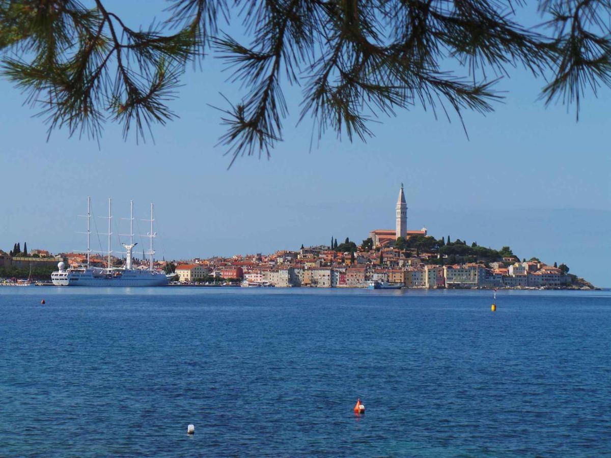 Apartment in Rovinj/Istrien 11735 Buitenkant foto